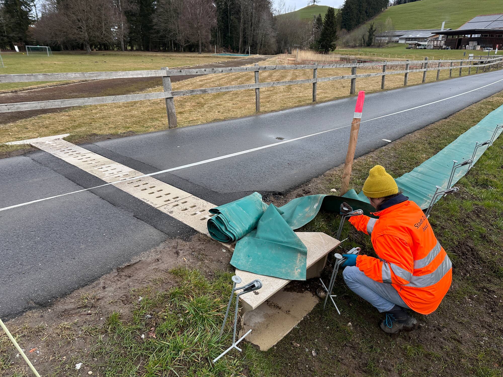 Amphibien wandern neu unter der Geissbodenstrasse hindurch